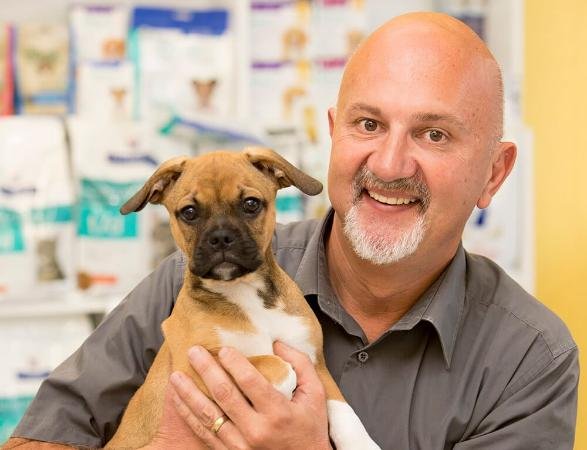 Why Pet Owners Trust Southside Vet Gymea for Compassionate Care